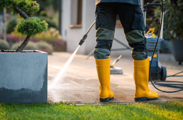 Best Roof Pressure Washing  in USA